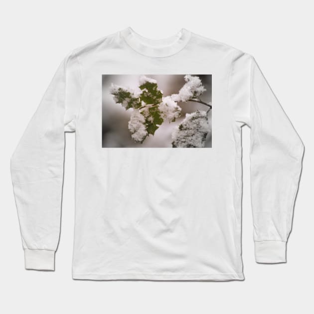 snow covered holly leaves Long Sleeve T-Shirt by DlmtleArt